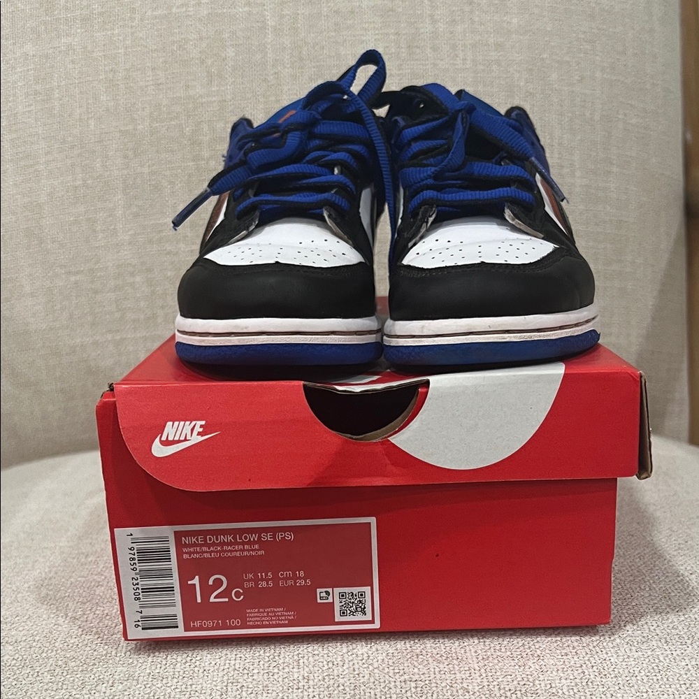 Nike Kids Dunk Low SE Black and Royal Blue Sneakers